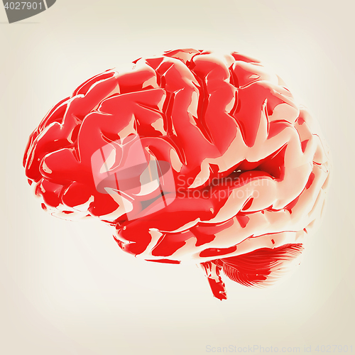 Image of Human brain. 3D illustration. Vintage style.