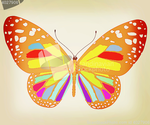 Image of beauty butterfly. 3D illustration. Vintage style.