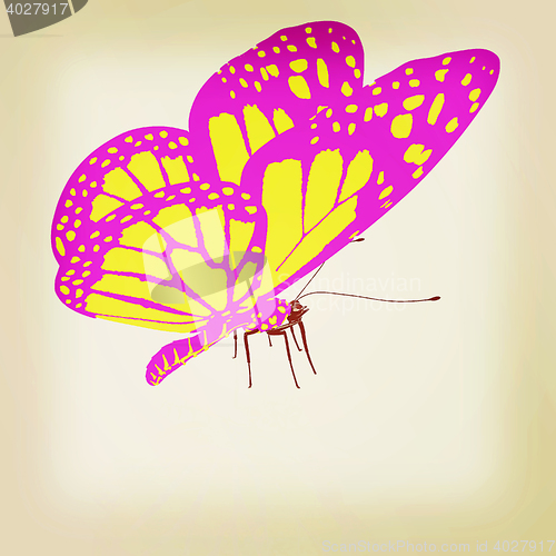 Image of beauty butterfly. 3D illustration. Vintage style.