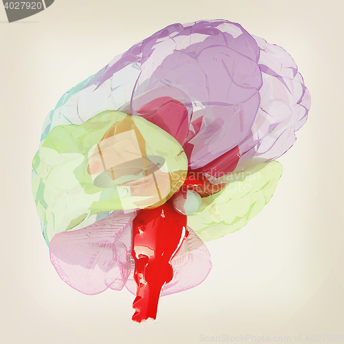 Image of Human brain. 3D illustration. Vintage style.