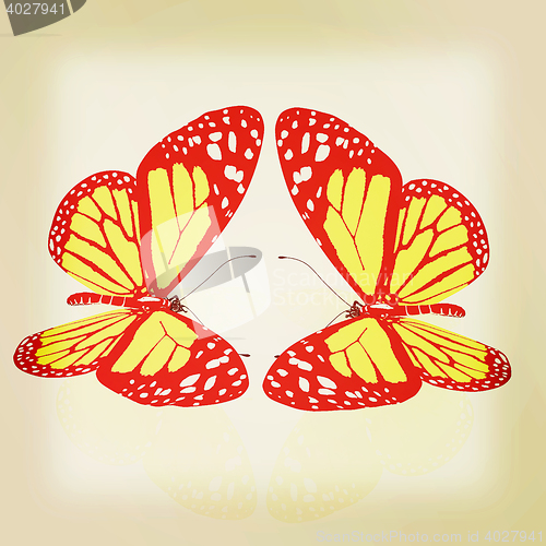 Image of beauty butterflies. 3D illustration. Vintage style.
