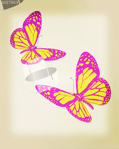 Image of beauty butterflies. 3D illustration. Vintage style.