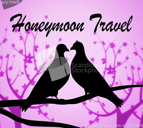 Image of Honeymoon Travel Means Romantic Traveller And Break