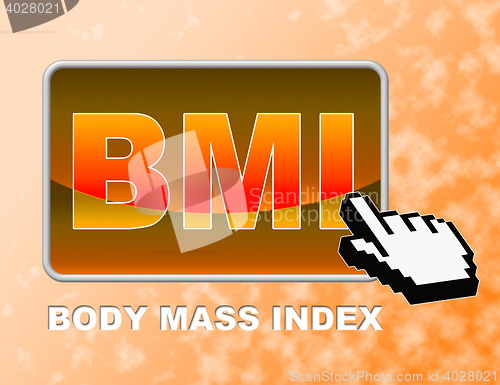 Image of Bmi Button Indicates Web Site And Body