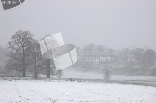 Image of Winter
