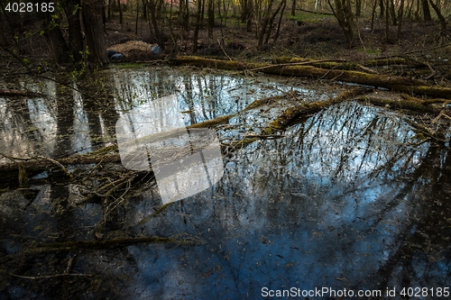 Image of Swamplands in croatia