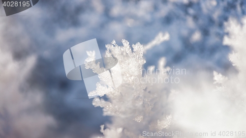 Image of Ice formation closeup