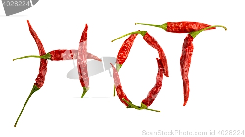 Image of chili pepper isolated