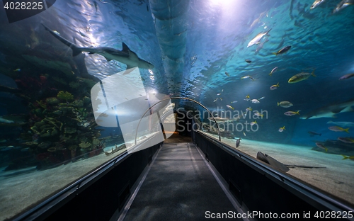 Image of Hallway at large aquarium