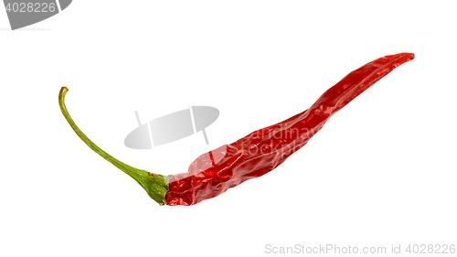 Image of chili pepper isolated