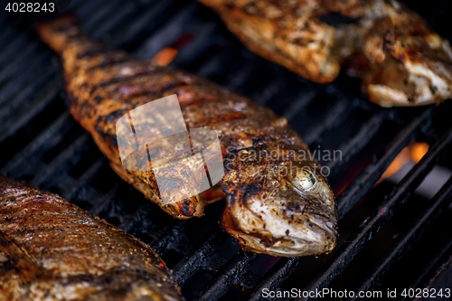 Image of Delicious grilled fish