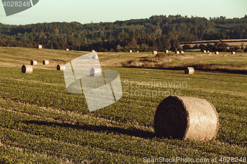 Image of harvested field with straw bales in summer