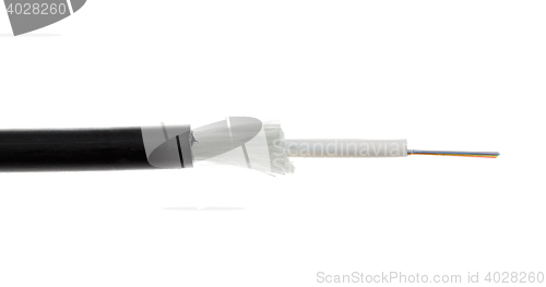 Image of Fiber optic cable detail isolated on white