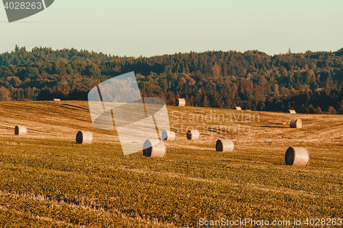 Image of harvested field with straw bales in summer