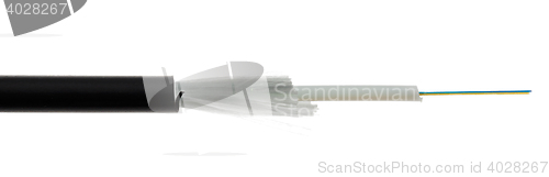 Image of Fiber optic cable detail isolated on white