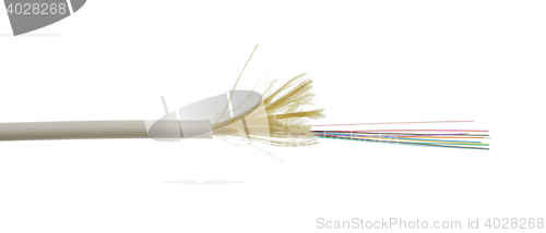 Image of Fiber optic cable detail isolated on white