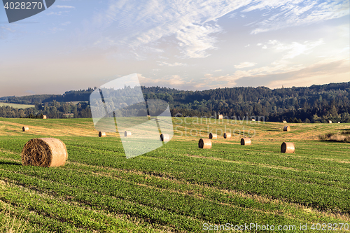 Image of harvested field with straw bales in summer