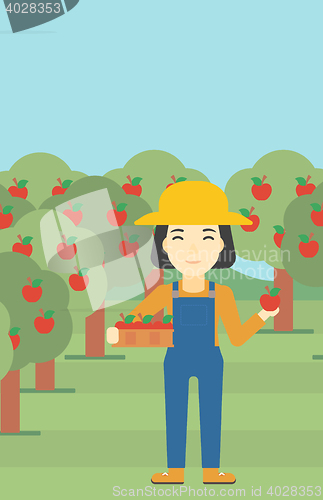 Image of Farmer collecting apples vector illustration.