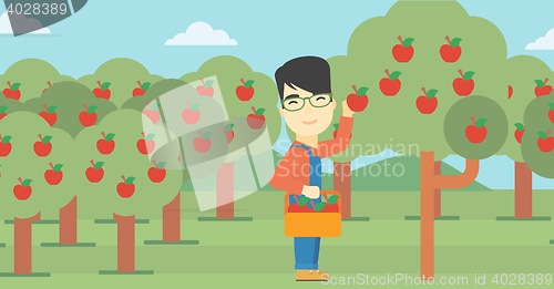 Image of Farmer collecting apples vector illustration.