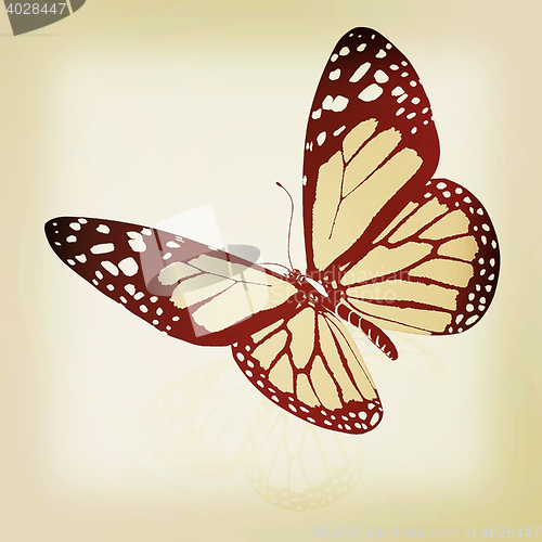 Image of Black and white beautiful butterfly. High quality rendering. 3D 