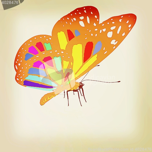 Image of colorful butterfly. 3D illustration. Vintage style.