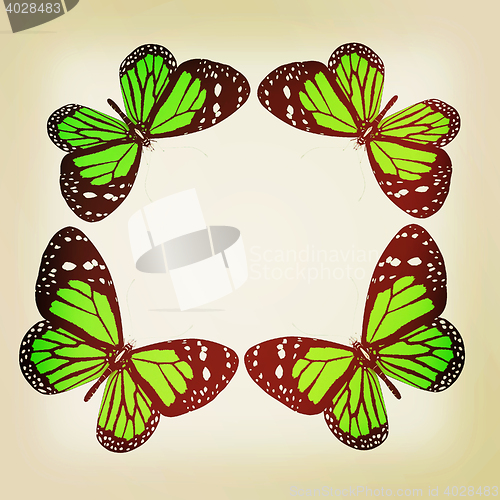 Image of butterflies isolated on white background . 3D illustration. Vint