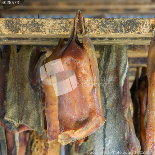 Image of Iceland\'s fermented shark