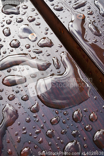 Image of Drops of water. After rain.