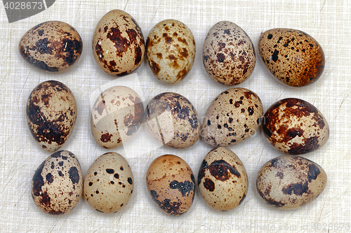 Image of Quail Eggs