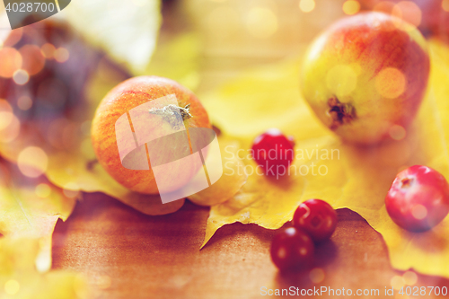 Image of close up of autumn leaves, fruits and berries