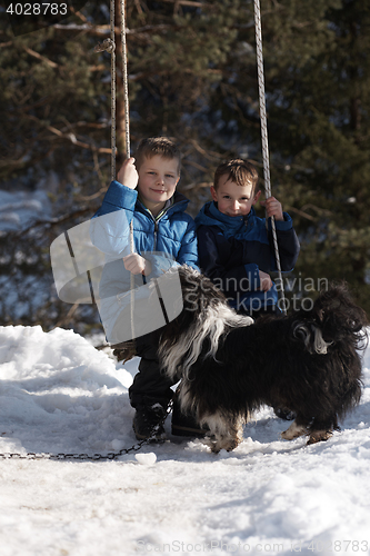 Image of portrait of little boys at winter day