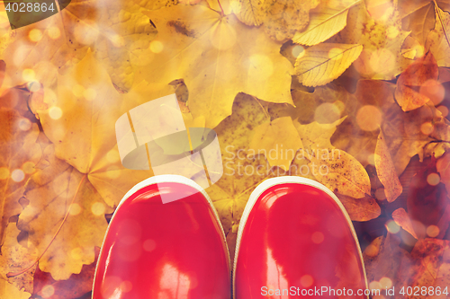 Image of close up of red rubber boots on autumn leaves