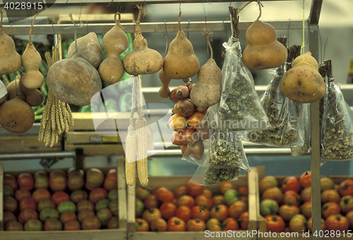 Image of EUROPE PORTUGAL LISBON MERCADO DA RIBEIRA