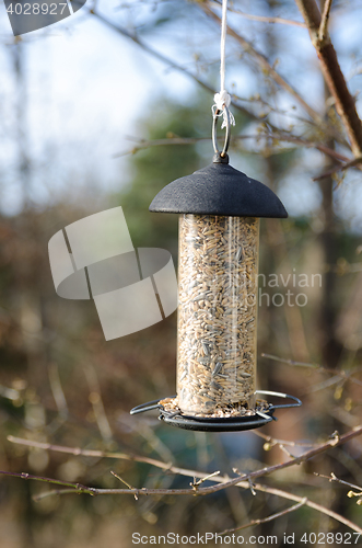 Image of one bird feeder hangs in the three