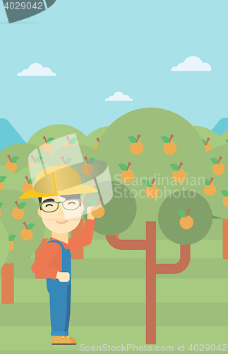 Image of Farmer collecting oranges vector illustration.