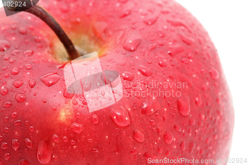 Image of deep red apple