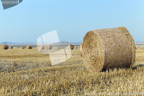 Image of stack of straw in the field