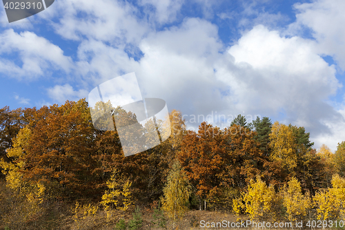 Image of Nature in autumn season