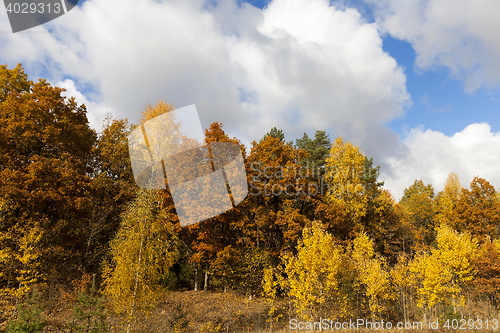 Image of Nature in autumn season