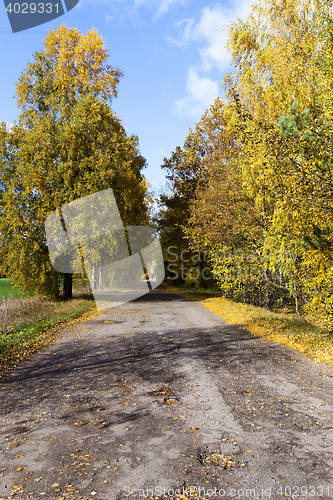 Image of road in the autumn season