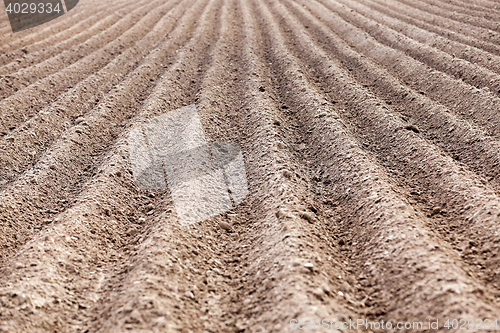 Image of plowed field, furrows