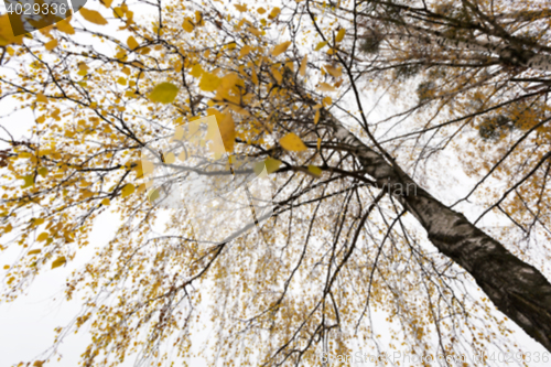 Image of Park in the fall