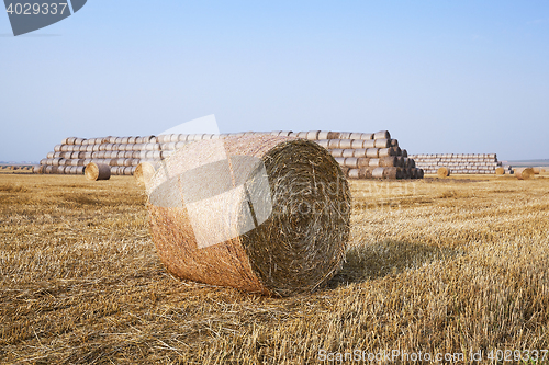 Image of stack of straw in the field