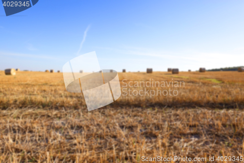 Image of stack of wheat straw