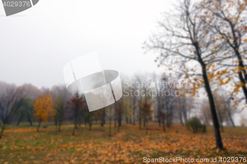 Image of Park in the fall