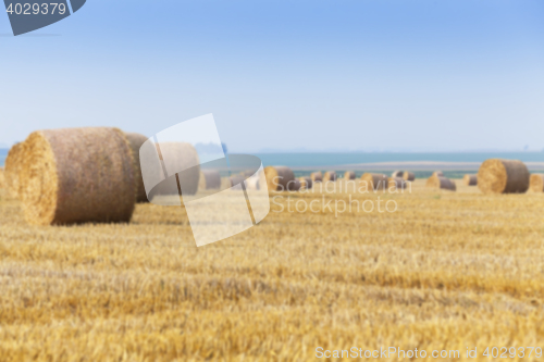 Image of stack of straw in the field