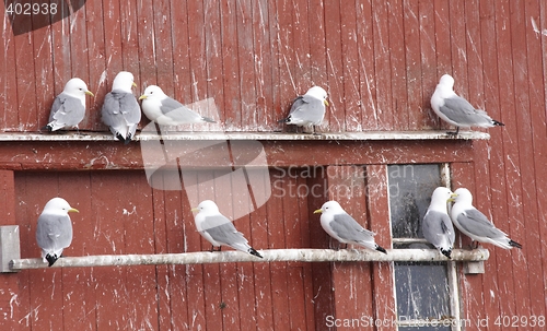 Image of Nesting Wall.