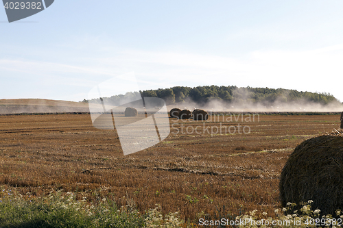 Image of stack of wheat straw