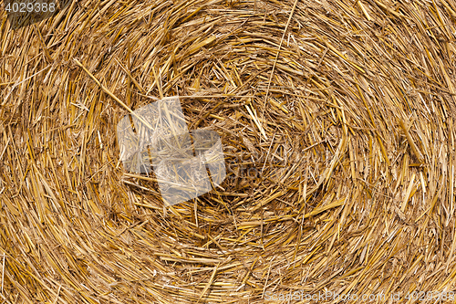 Image of haystacks in a field of straw