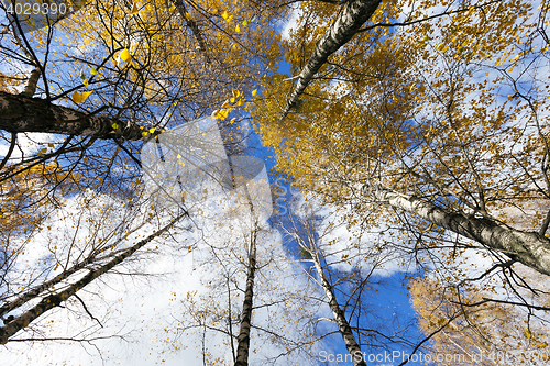 Image of Nature in autumn season